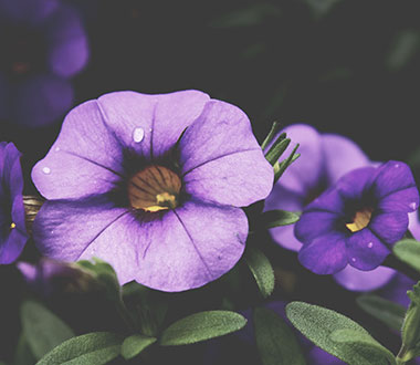 ddos攻击ip软件下载